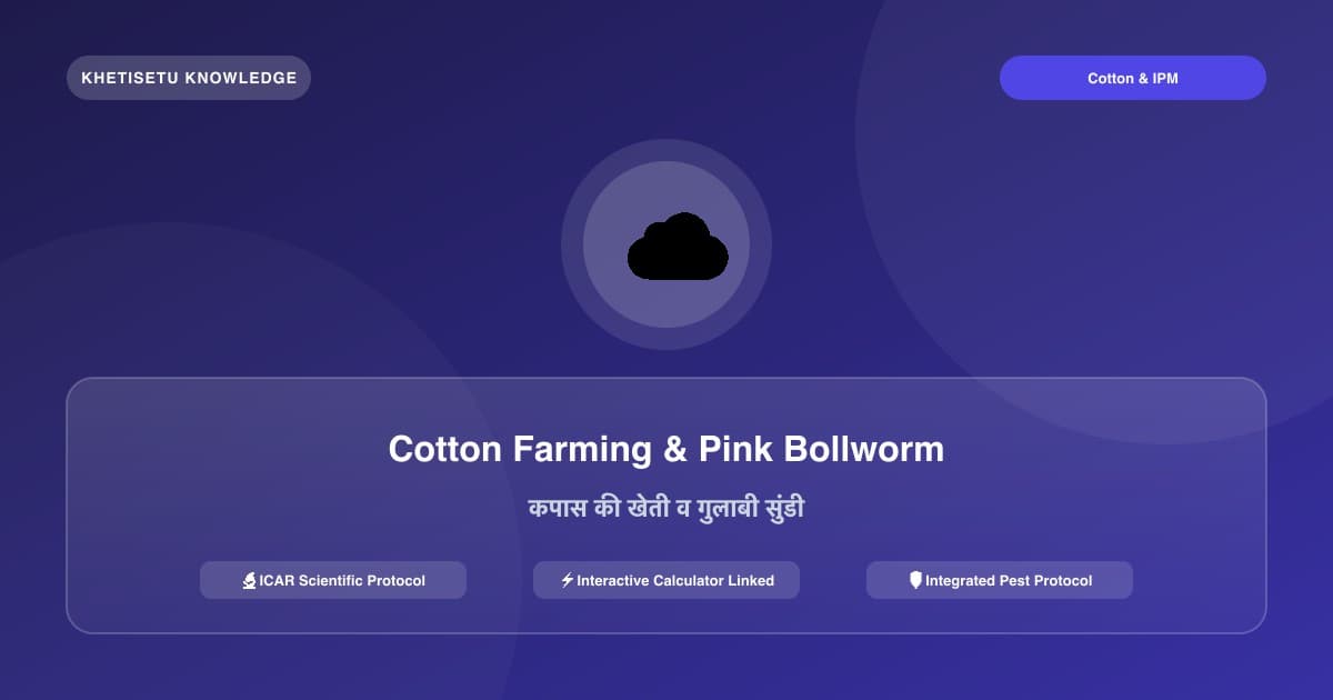 Cotton Cultivation & Pink Bollworm Integrated Management Guide