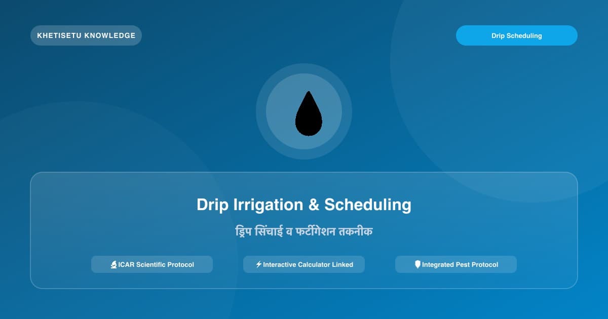 Drip Irrigation & Fertigation Scheduling: Design, Water Savings & PMKSY Subsidy