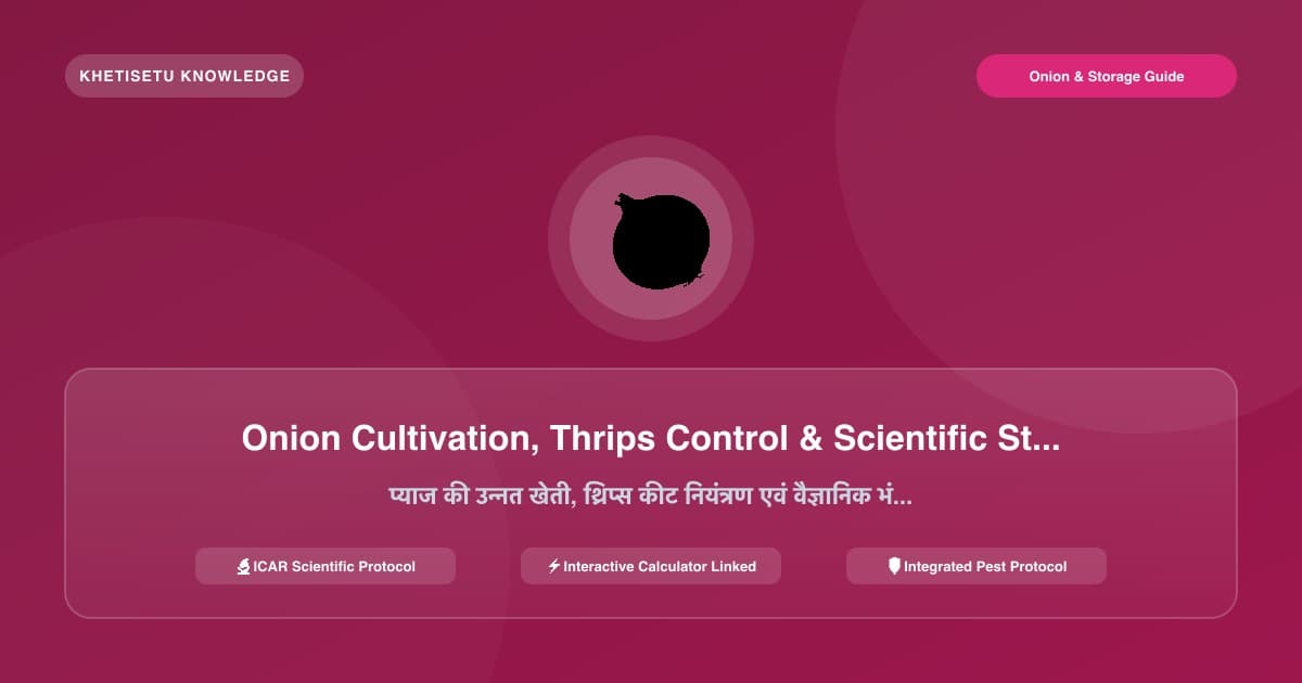 Onion Cultivation, Thrips Control & Scientific Storage (Kanda Chawl) Guide
