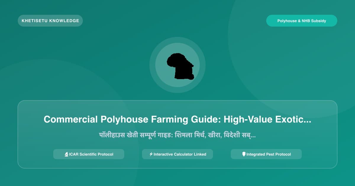 Commercial Polyhouse Farming Guide: High-Value Exotic Vegetables & Subsidy Structure