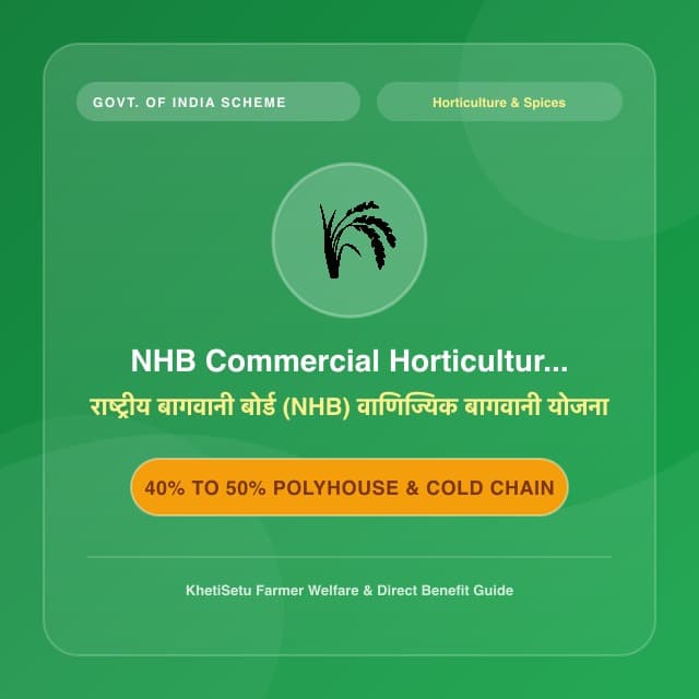 NHB Commercial Horticulture Scheme