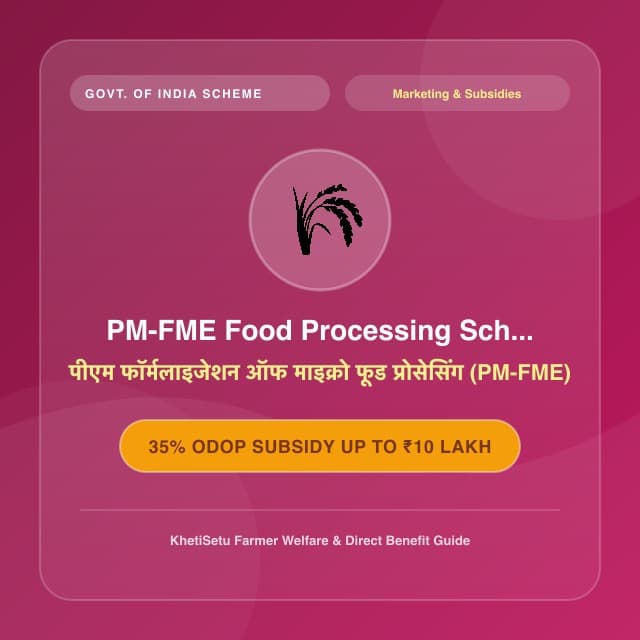PM-FME Food Processing Scheme
