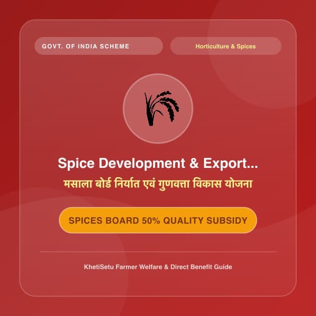 Spice Development & Export Scheme