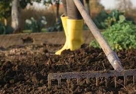 Soil Preparation in Kanpur