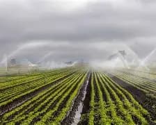 Irrigation Management in Kanpur